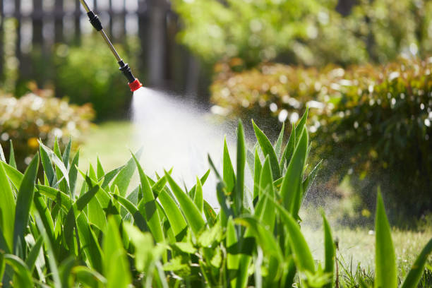 24/7 Emergency Cockroach Control experts in Foresthill, CA