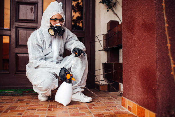 Reliable Cockroach Control contractor in Foresthill, CA by Nex Pest Control