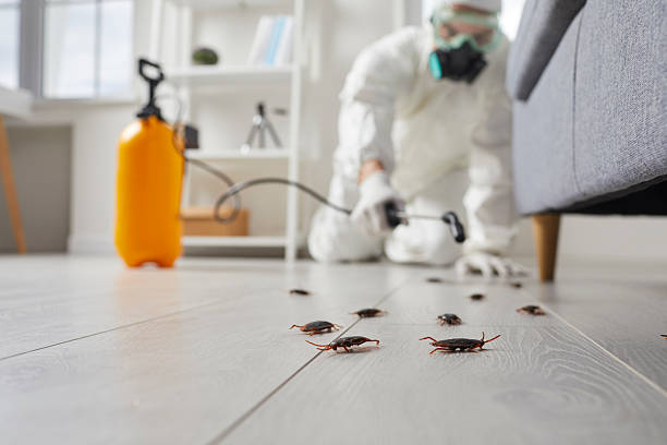 Affordable Cockroach Control solutions in Foresthill, CA